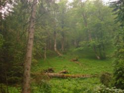 2013-06-22_Hirschhoerndl_Jochberg (302).JPG